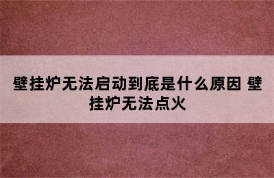 壁挂炉无法启动到底是什么原因 壁挂炉无法点火